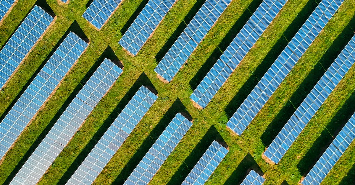 How to Identify Common Issues with Solar Panels